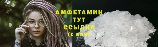 трава Гусиноозёрск