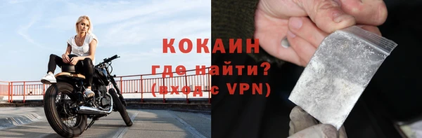 гидра Горняк