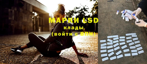 трава Гусиноозёрск