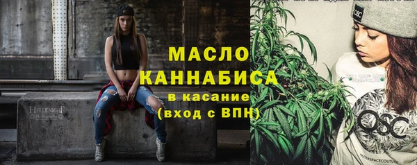 гидра Горняк