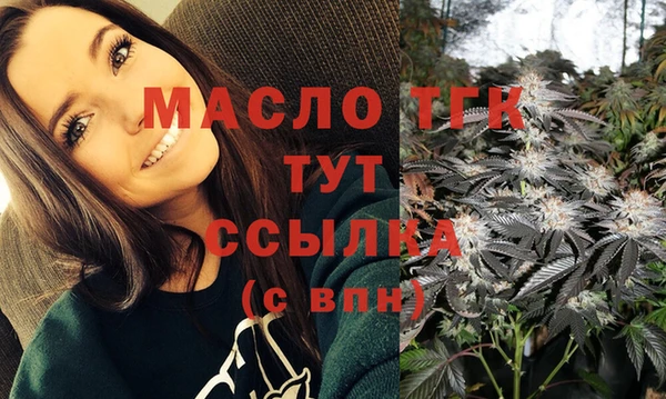 гидра Гусев