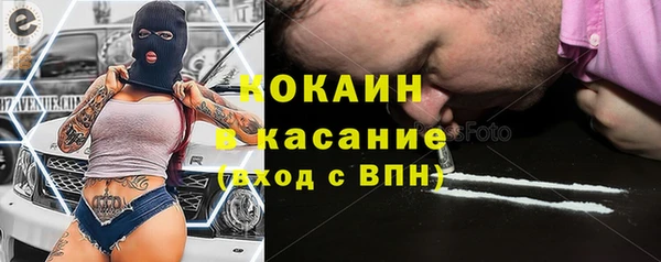 гидра Горняк