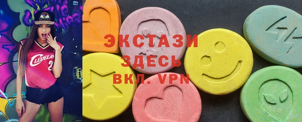 гидра Гусев