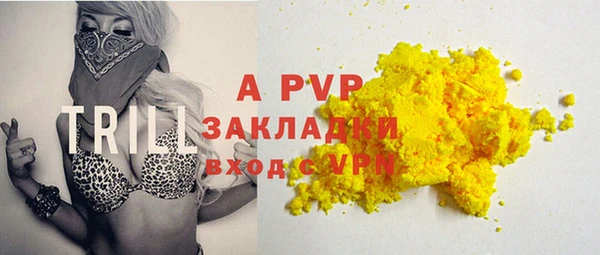 гидра Горняк